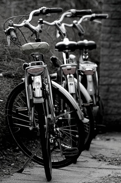 Foto bicicletas estacionadas en el sendero
