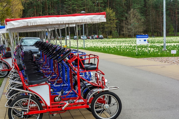 Bicicletas para excursiones