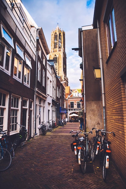 Bicicletas en Holanda