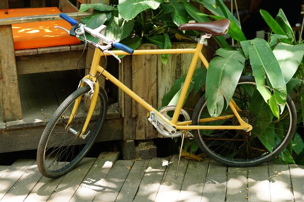 Bicicletas para turistas tirarem fotos