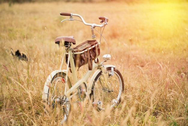 bicicletas viejas en el campo de vidrio de cerca, filtro vintage