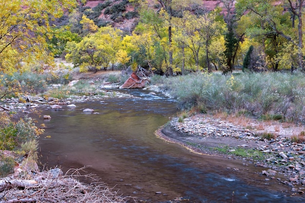 Biegung im Virgin River