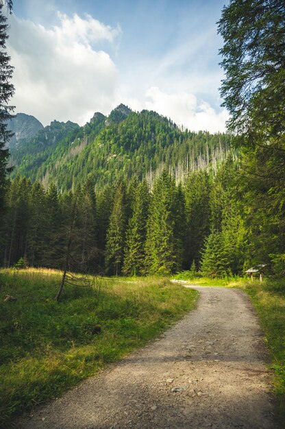 Bielovodska-Tal in der Hohen Tatra Slowakei Slowakei-Landschaft