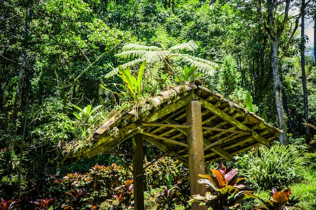 Bien en medio de la naturaleza con predominantemente verde