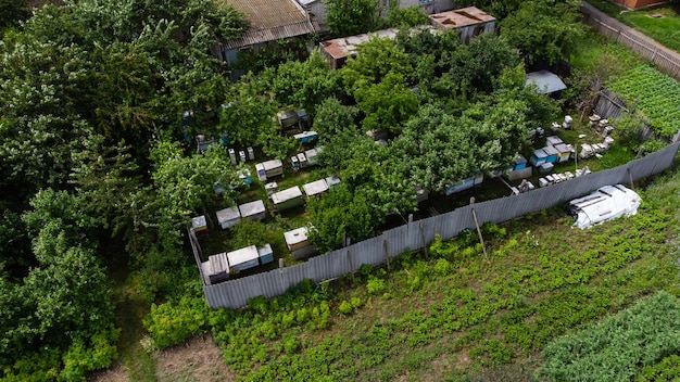 Bienenhaus in der Nähe des Hauses mit Garten.