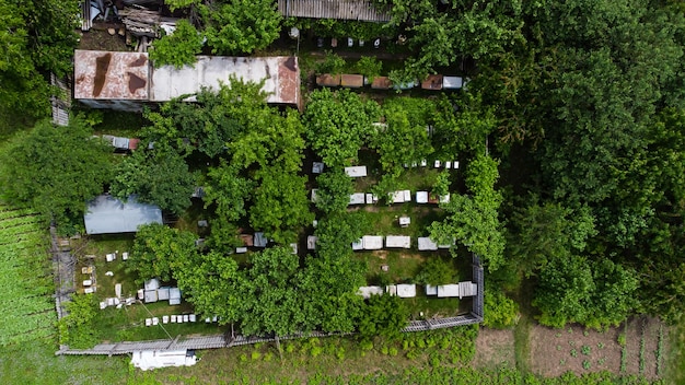 Bienenhaus in der Nähe des Hauses mit Garten.