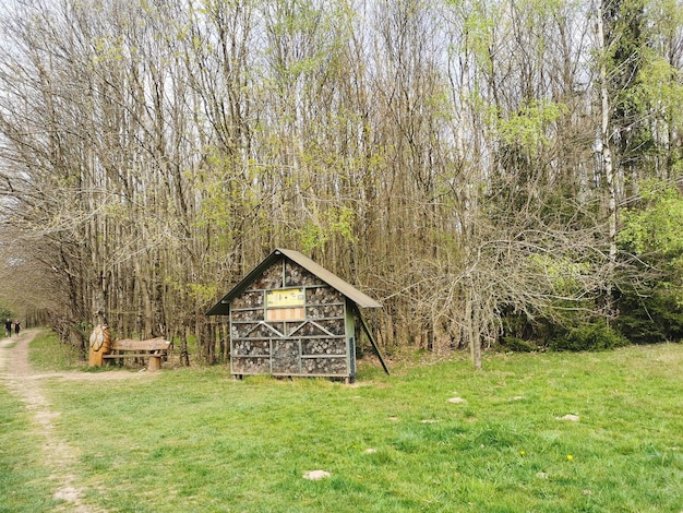 Foto bienenhotel, ein bienenhotel