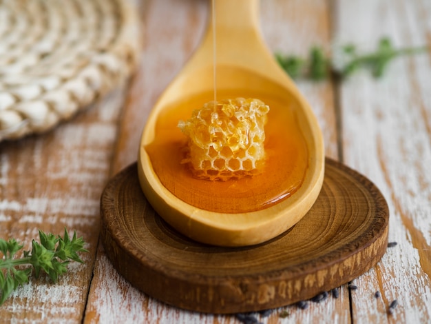 Bienenwabe auf Löffelabschluß oben