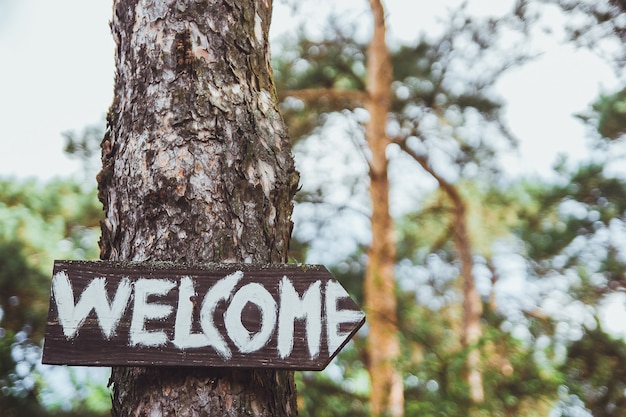 Bienvenido a cantar en el árbol letras blancas en la tabla de madera