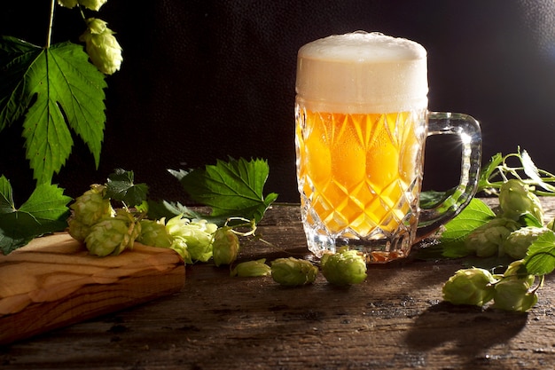 Bier mit Schaum wird in einen Glasbecher, schwarzen Hintergrund und Hopfenpflanzen in der Nähe gegossen.