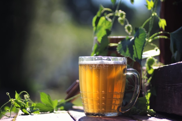 Bierglas Holzhopfen im Freien