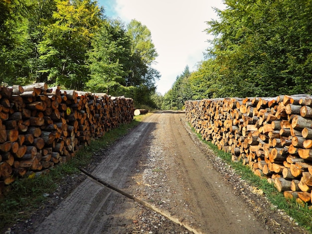 Foto bieszczady im herbst in polen