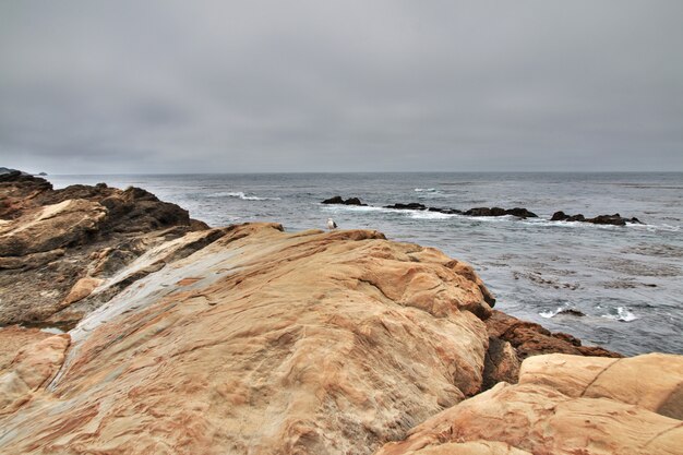 Foto big sur es un camino escénico en la costa oeste de ee. uu.