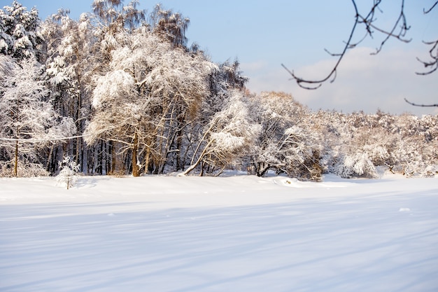 Bild der malerischen Winterlandschaft mit blauem Himmel am Nachmittag