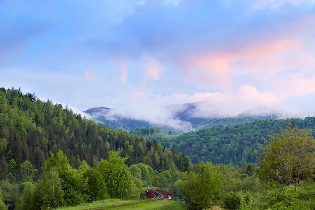 Bild der wundervollen Landschaft des schönen grünen Waldes unter strahlend blauem Himmel und schwebenden weißen Wolken, herrliches Berggebiet
