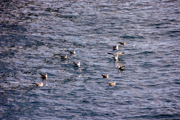 Bild des Wasser-Muster-Beschaffenheits-Hintergrundes