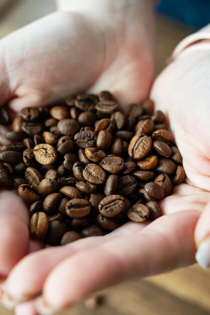 Bild einer Frau, die eine geröstete Kaffeebohne in ihren Händen hält Nahaufnahme Draufsicht Das Konzept der Kaffeezubereitung