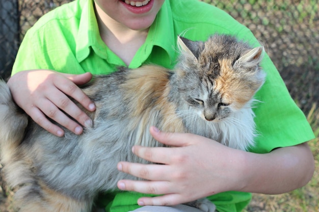 Bild einer Katze in verschiedenen Farben auf der Hand eines Kindes