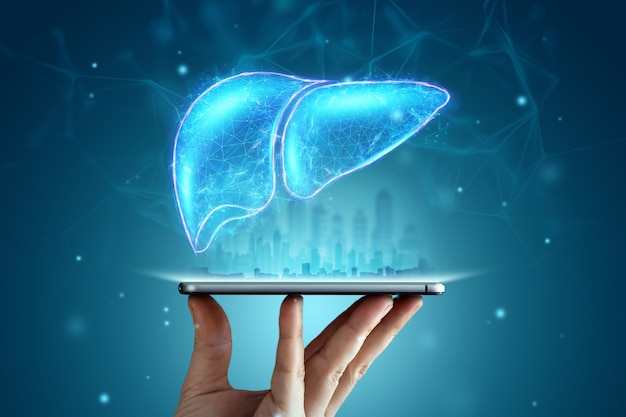 Bild eines Leberhologramms über einem Smartphone auf einem blauen Hintergrund. Geschäftskonzept zur Behandlung von Hepatitis beim Menschen, Prävention von Krankheiten, Online-Diagnose.