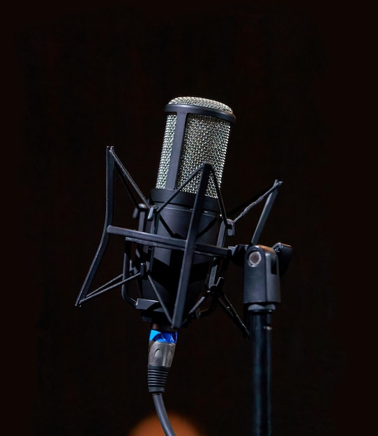 Bild eines Studio-Kondensatormikrofons auf einem Mikrofonstand