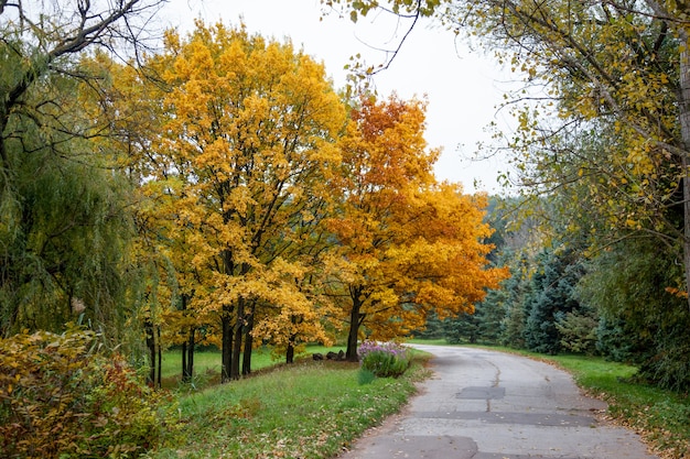 Bild in einem Park während des Herbstes