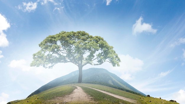 Bild von Baum und Landschaft