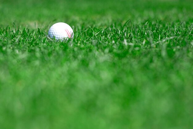 Bild von grünem Gras mit weißem Golfball