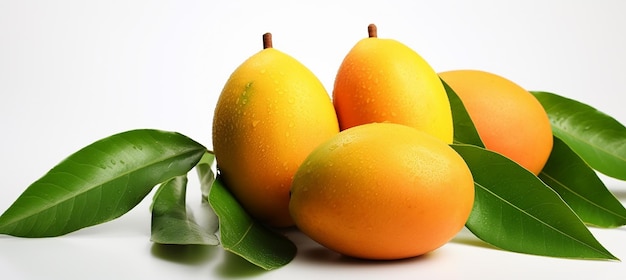 Bild von Mango mit Blättern auf weißem Hintergrund Mango-Werbung