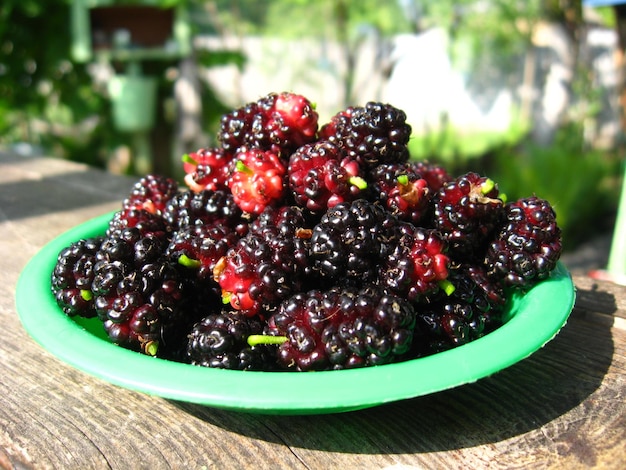 Bild von reifen dunklen Beeren einer Maulbeere auf einem Teller