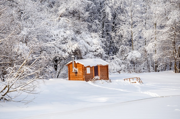 Bild von Winterbäumen mit Schnee und blauem Himmel während des Tages