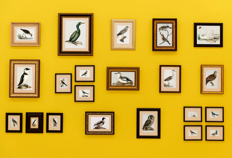 Foto bilder von vögeln in frames, die an der gelben wand hängen