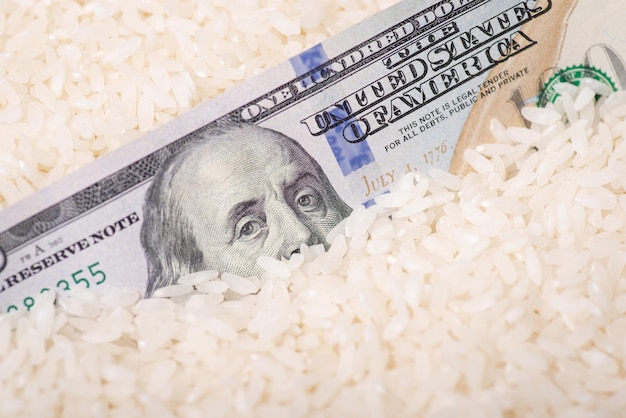 Billete de cien dólares en arroz Negocio de aumento del precio del arroz en el concepto de verduras