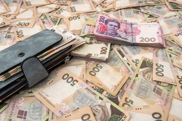 billetera para mujer dinero en efectivo Hryvnia ucraniana.