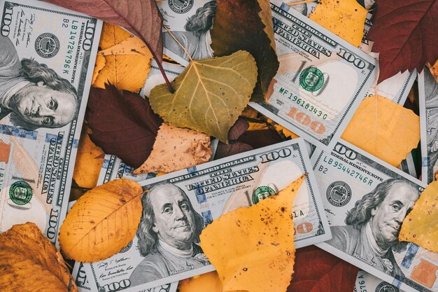 Billetes de cien dólares en follaje otoñal Billetes de dólares estadounidenses sentados en un fondo de hojas de otoño dinero