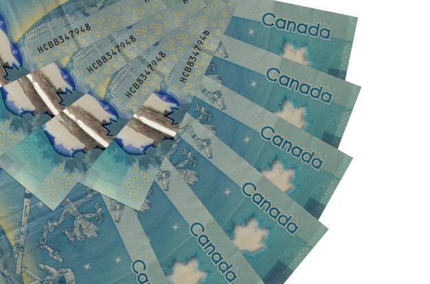 Billetes de dólares canadienses se encuentra aislado en blanco