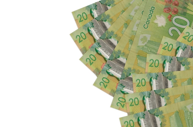 Billetes de dólares canadienses en superficie blanca