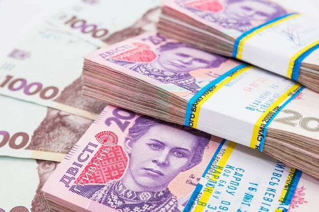 Billetes de Hryvnia, concepto financiero