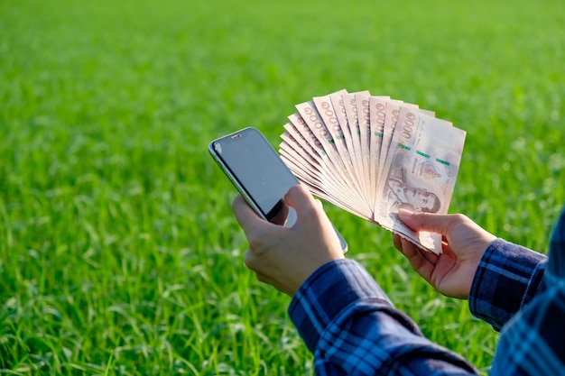 Los billetes tailandeses con un teléfono inteligente de pantalla en blanco son mantenidos por agricultoras en granjas verdes