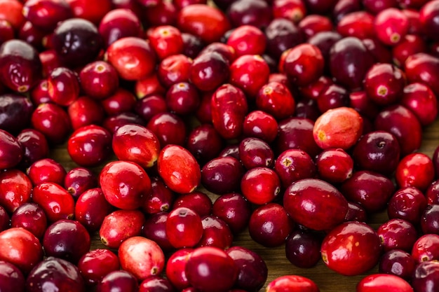 Bio frische Cranberries in der Saison.