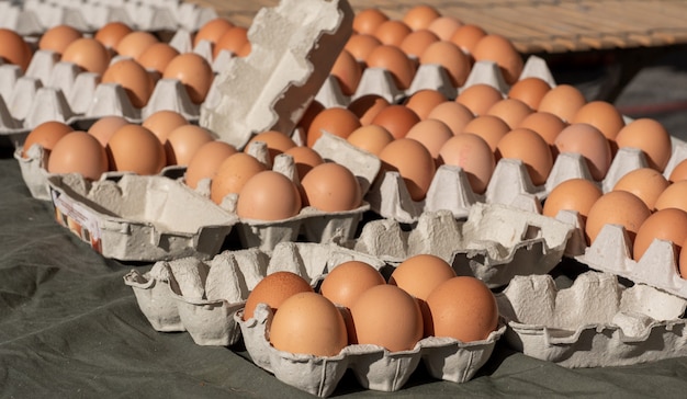 Bio frische Eier auf dem Marktplatz