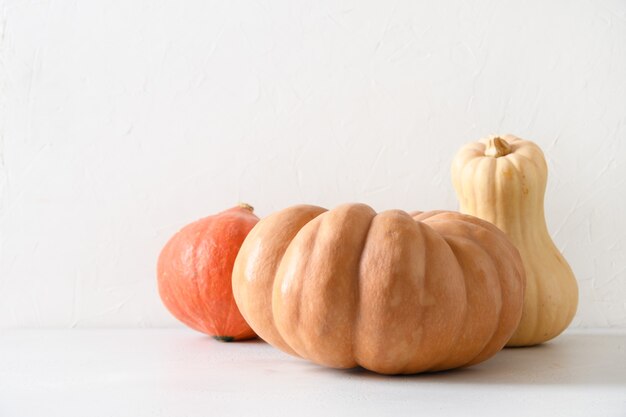 Bio-Kürbisse auf weißem Hintergrund Herbsternte für Erntedankfest oder Halloween-Party