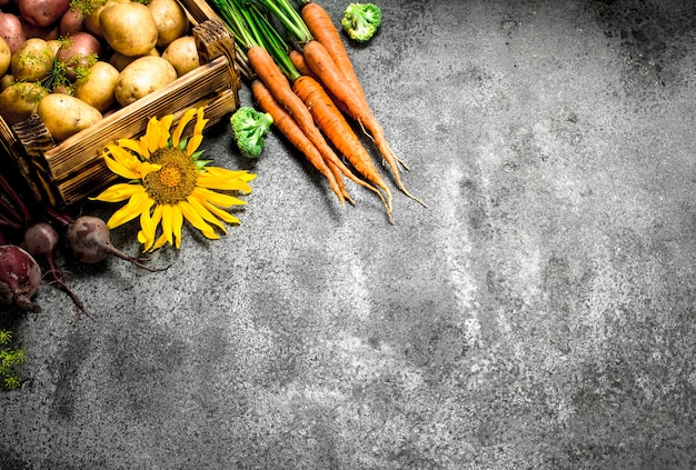 Foto bio-lebensmittel. geerntetes gemüse auf einem rustikalen tisch