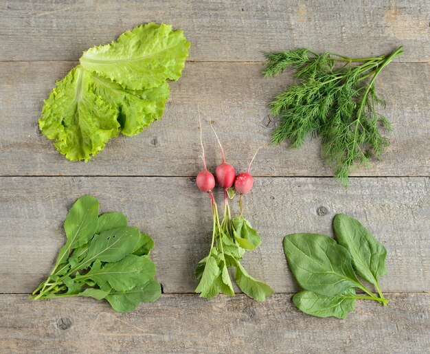 Bio-Lebensmittelzutaten für Saladon alten rustikalen Holztisch