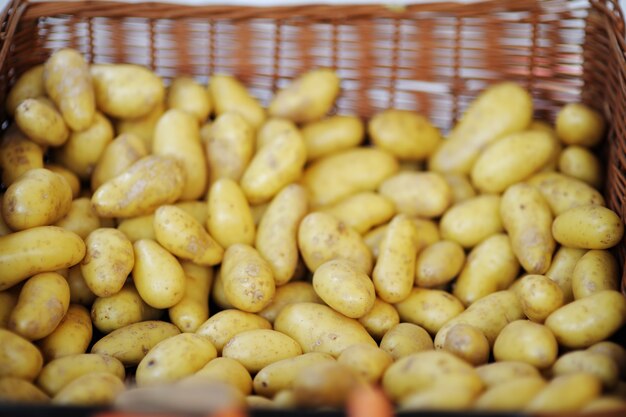 Bio patatas frescas y saludables en el mercado agrícola de granjeros de París