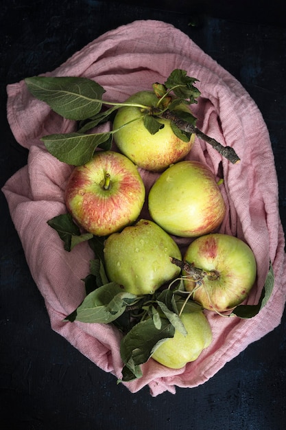 Bio-Äpfel frisch vom Baum gepflückt Äpfel mit dunklem Hintergrund