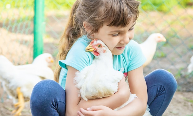 Bio pollos en una granja casera a niños.