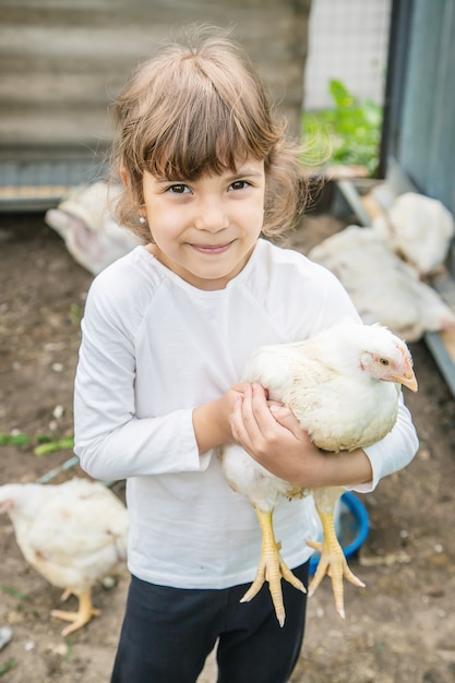 Bio pollos en una granja casera niños.