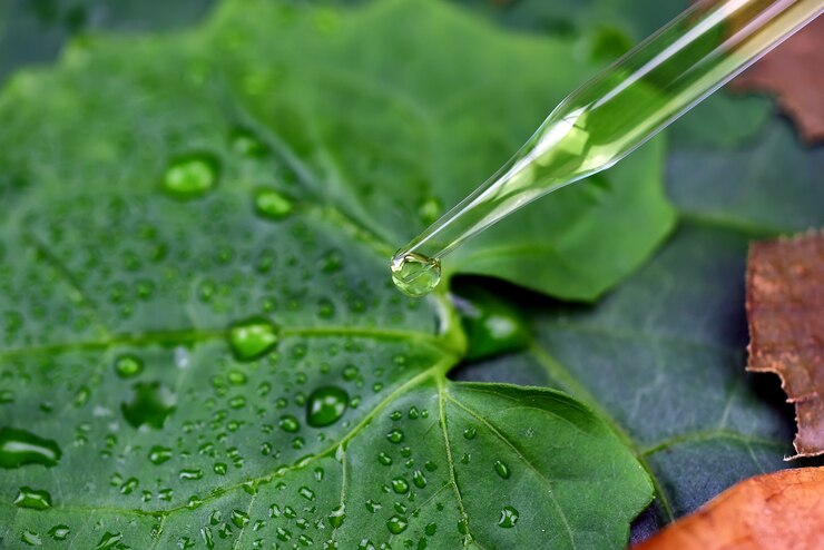 Bio-skincare orgânico da extração natural do óleo que deixa cair na folha verde entre as folhas secas