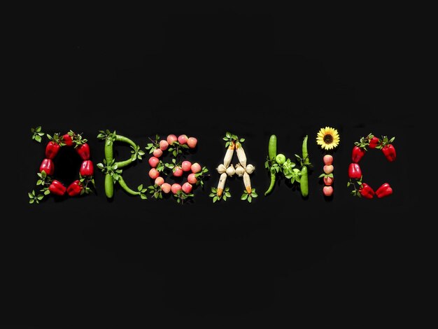 Bio-Wortbuchstaben aus Obst und Gemüse auf schwarzem Hintergrund