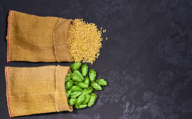 Bio-Zutaten für die Herstellung von Bier, Weizen und Hopfen auf einem schwarzen Hintergrund.